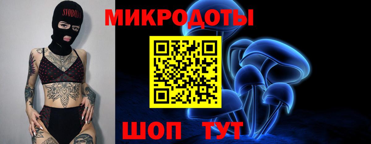 Псилоцибиновые грибы Psilocybine cubensis  Вход с VPN  Клинцы 